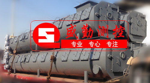 耐压式称重给煤机专用于大型电厂和工业锅炉的连